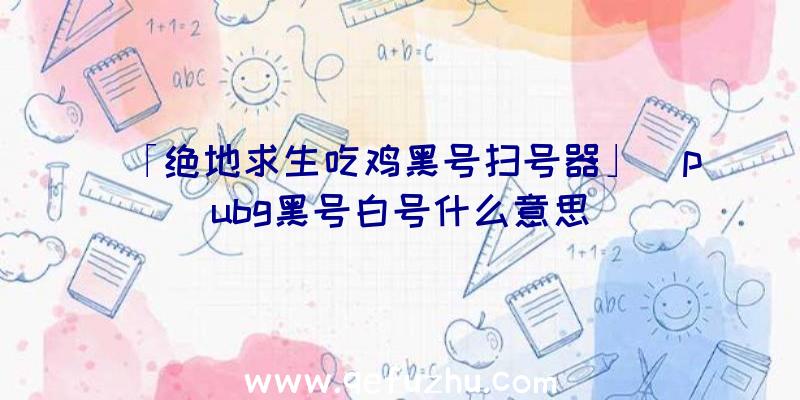 「绝地求生吃鸡黑号扫号器」|pubg黑号白号什么意思